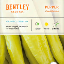 Seeds- veggies, herbs, and florals