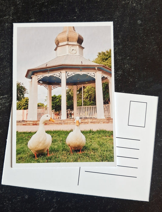 Mini Postcard- Ducks & Gazebo
