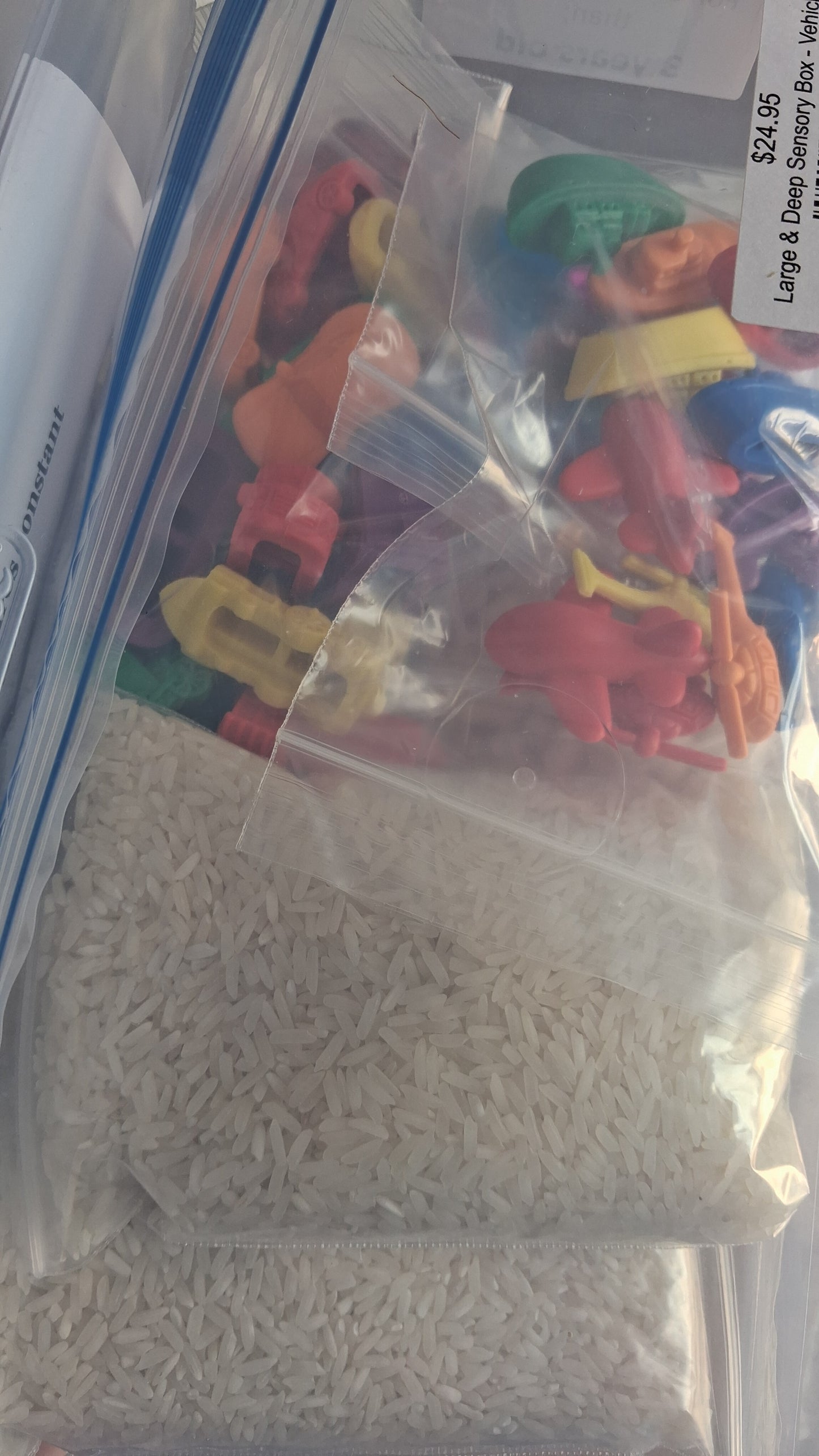 Rice Sensory Boxes- Large