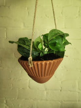 Houseplants