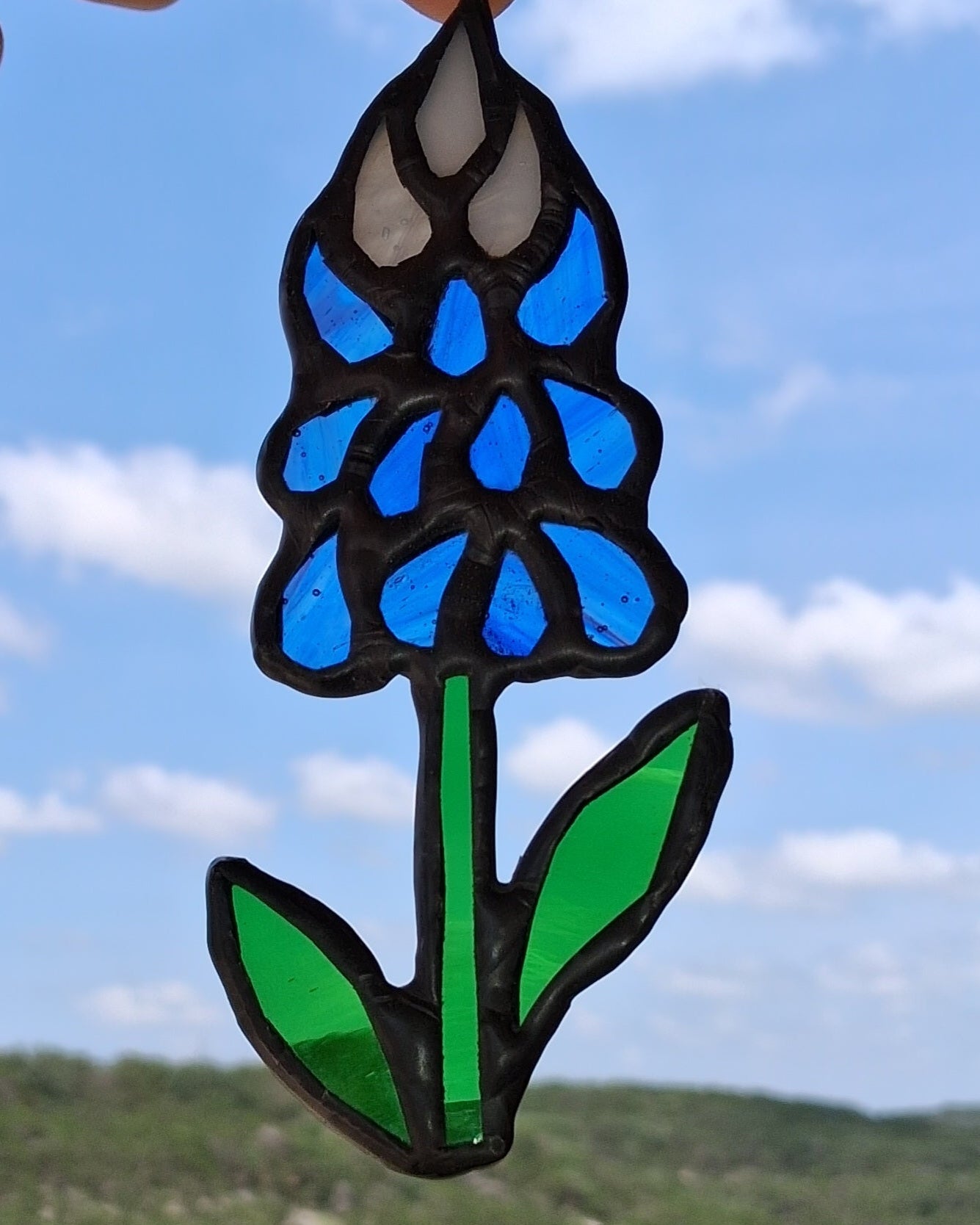 Individual Bluebonnet