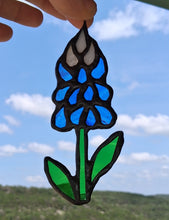 Individual Bluebonnet