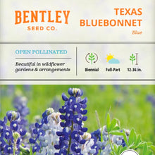 Seeds- veggies, herbs, and florals