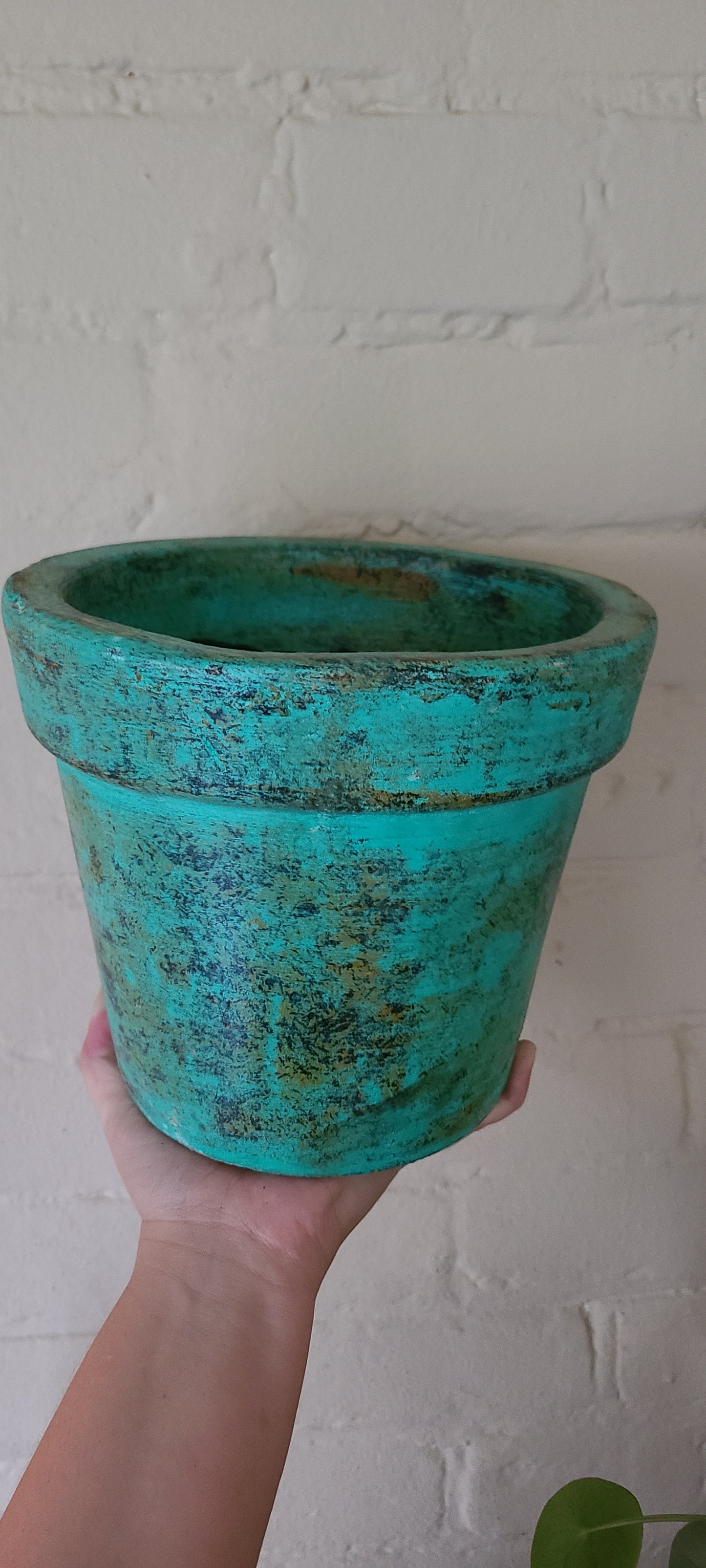 Planters and trays