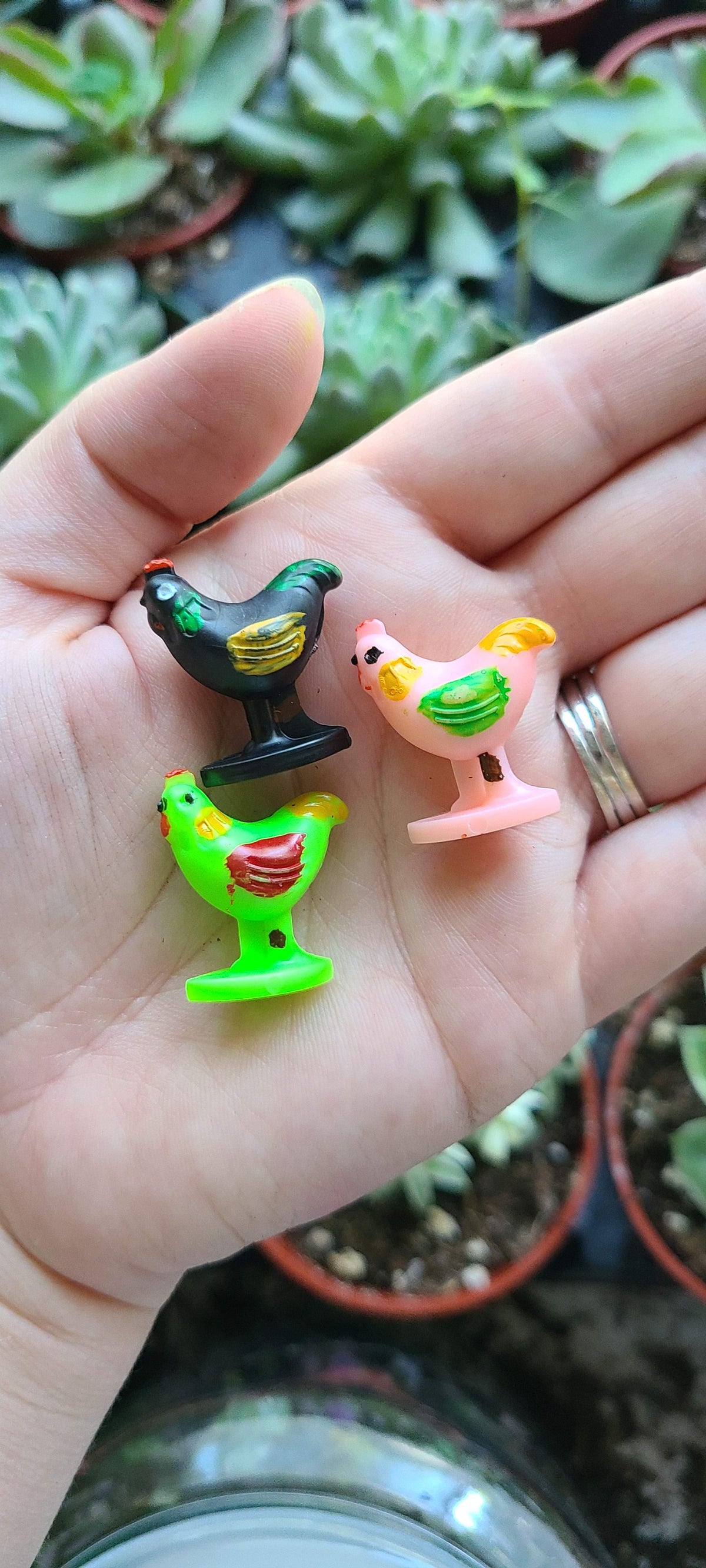 Plant buddies, tags and decor