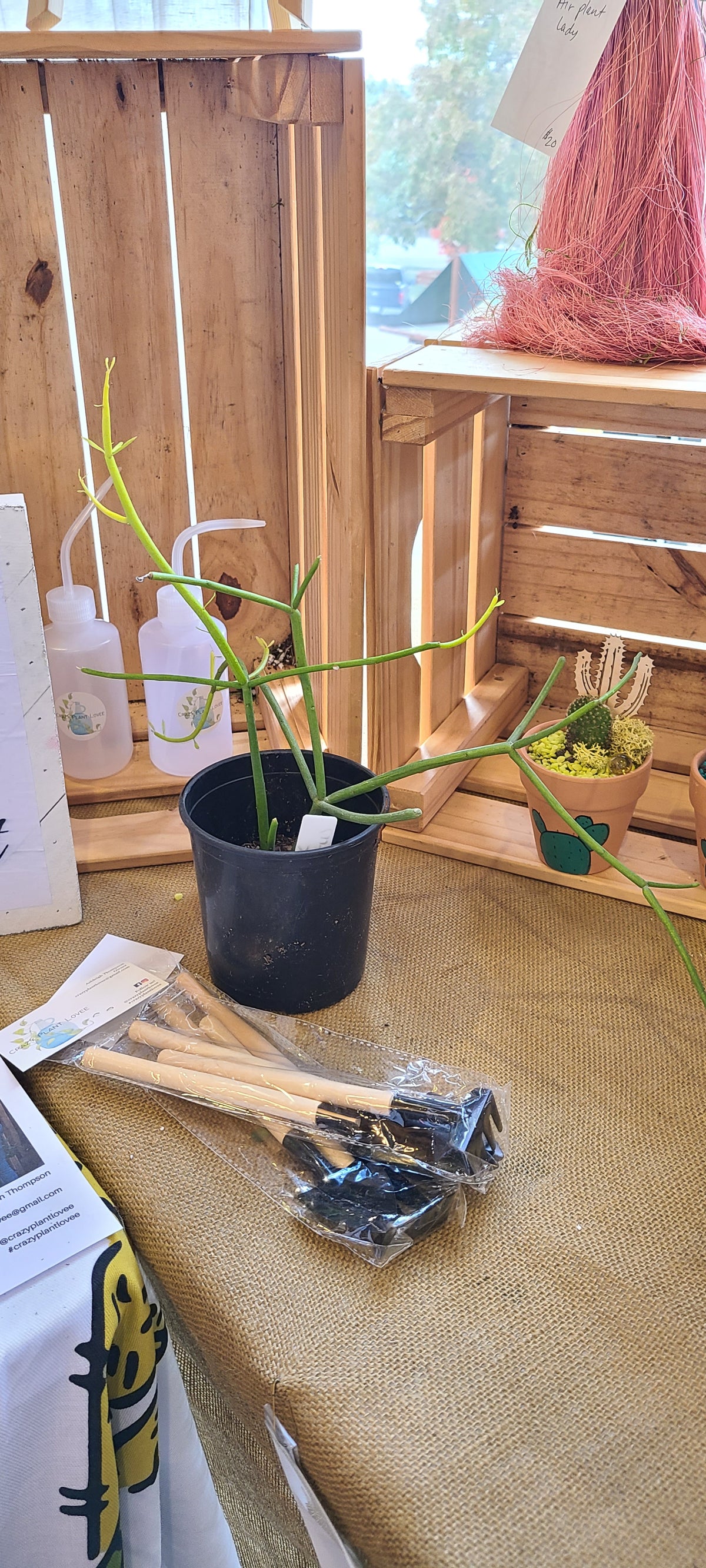 Grow pots