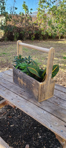 Planters and trays
