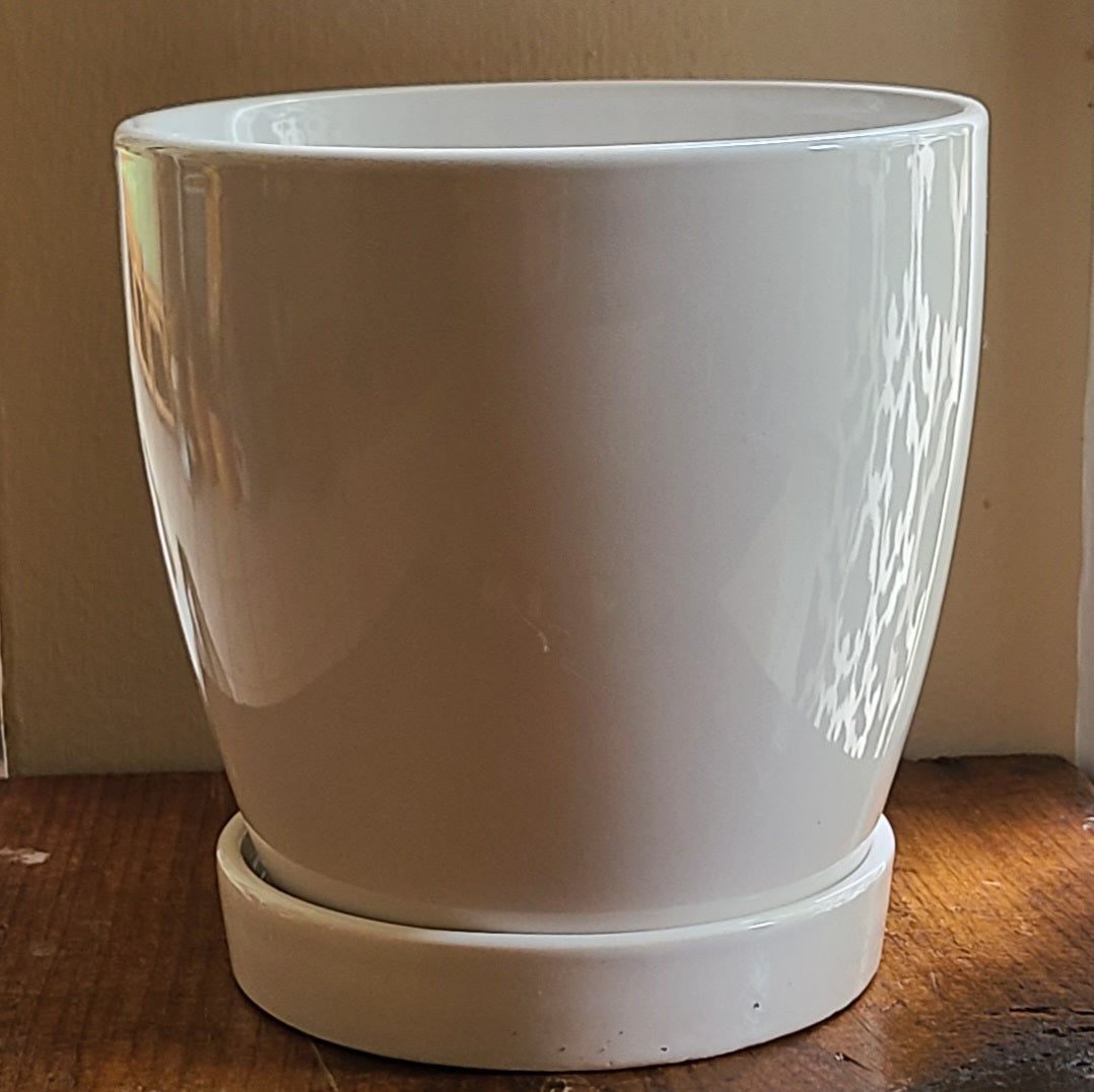 Planters and trays