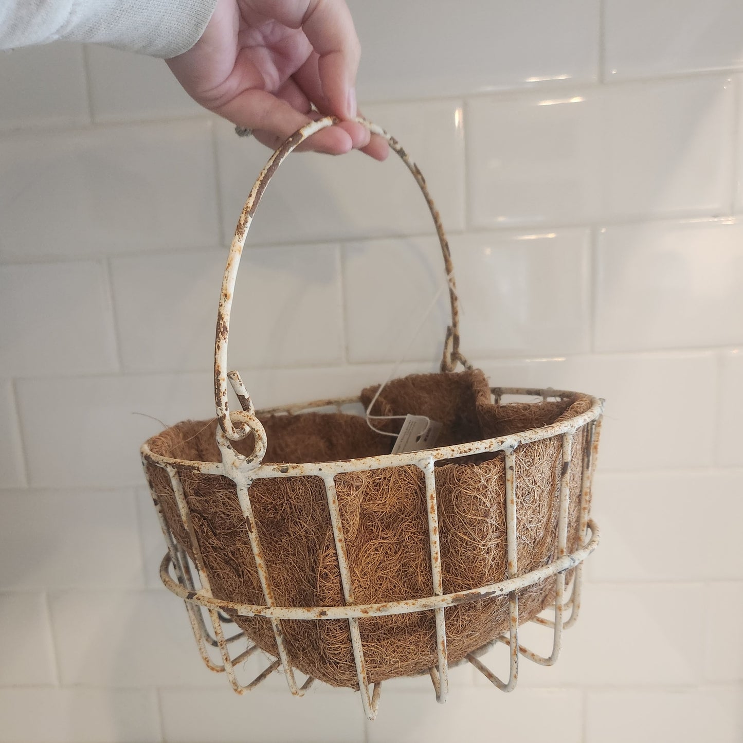 Planters and trays