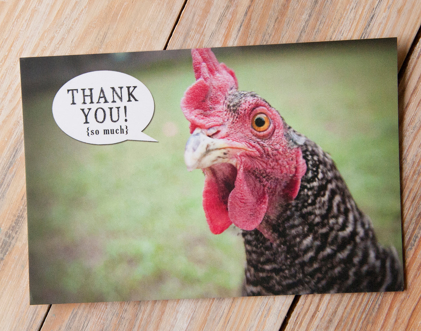 Postcards- Thank you!
