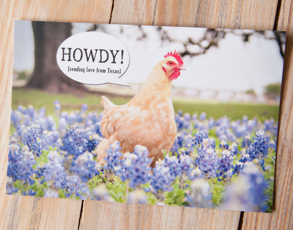 Postcards- Howdy!