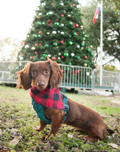 Bandana- Buffalo Plaid