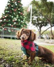 Bandana- Buffalo Plaid