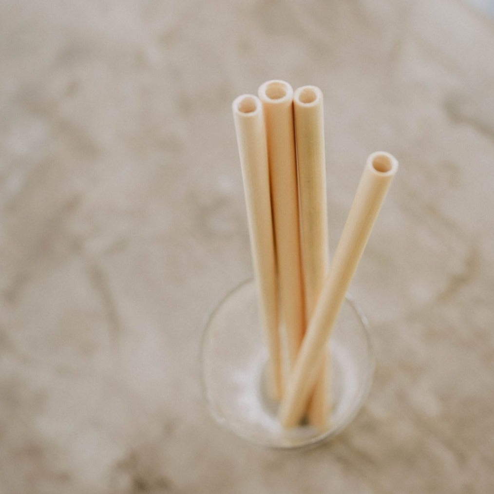 Straws & Travel Bags