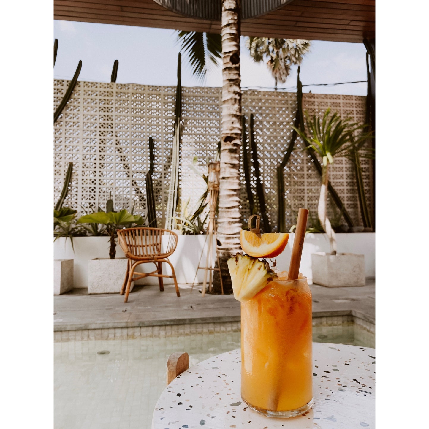 Straws & Travel Bags